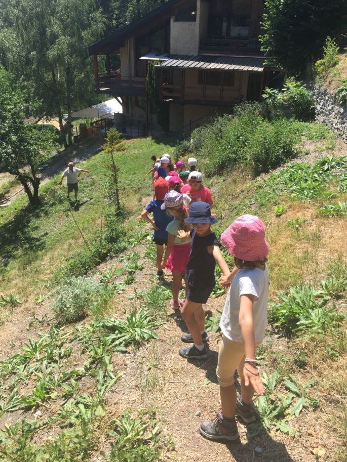 PHOTO-2018-08-09-09-50-51 4